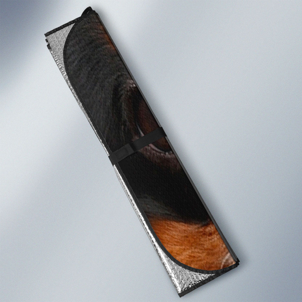 Cavalier King Charles Spaniel Eyes Car Sun Shade 94