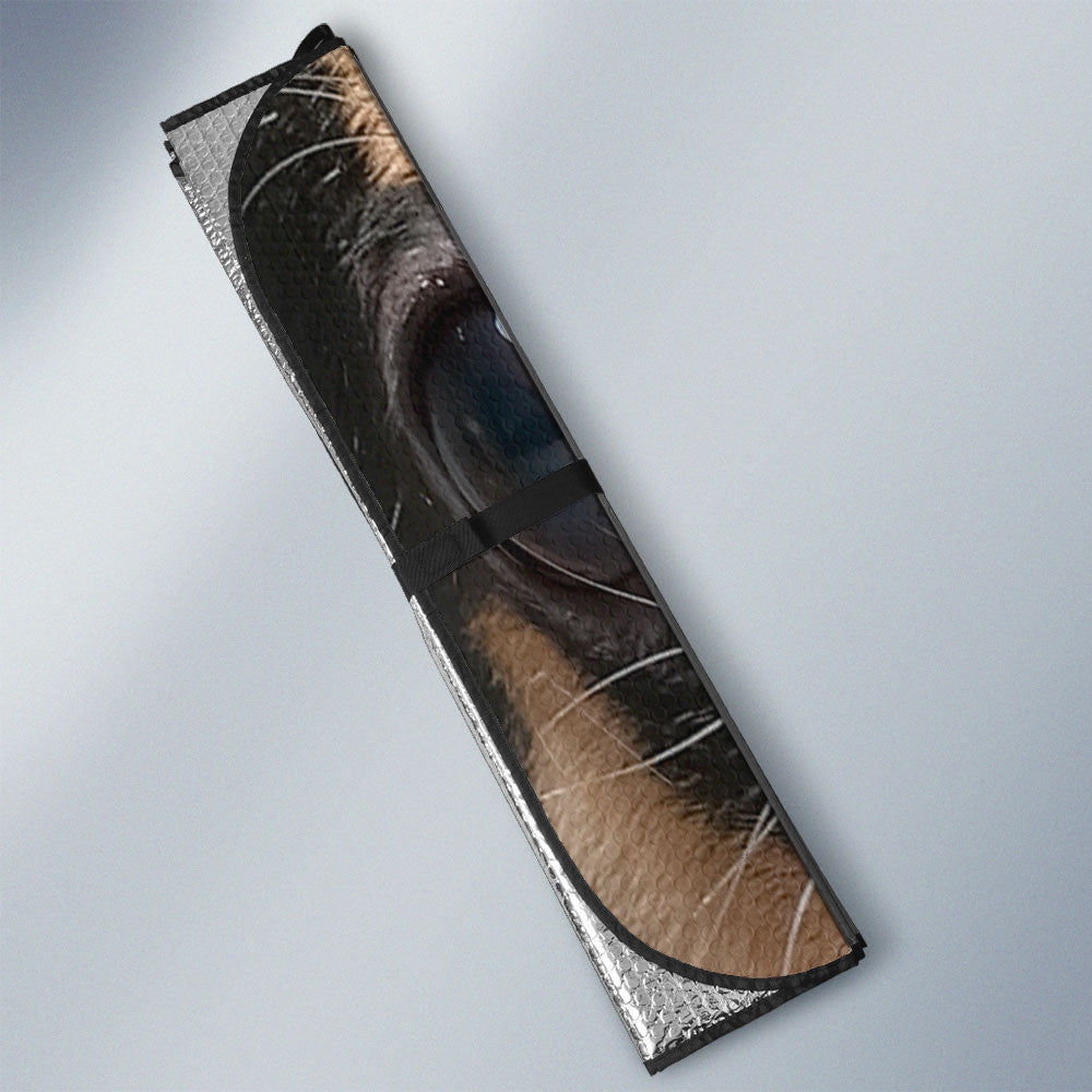 Chihuahua Eyes Car Sun Shade 94