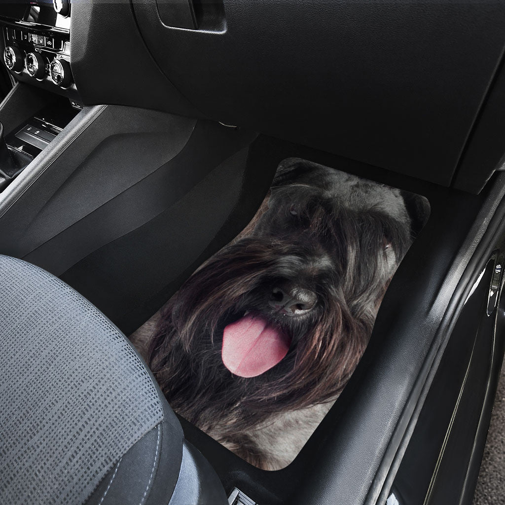 Cesky Terrier Dog Funny Face Car Floor Mats 119