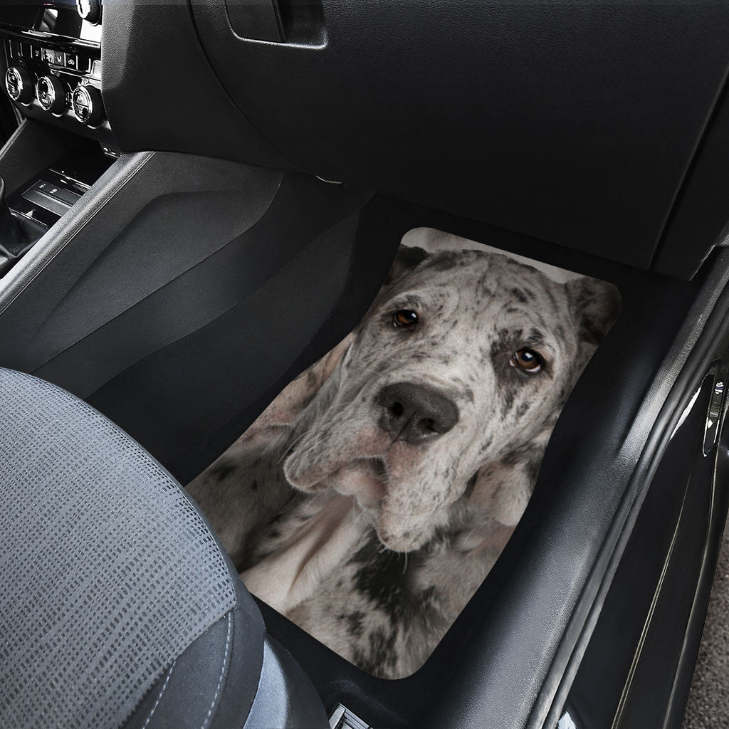 Great Dane Dog Funny Face Car Floor Mats 119