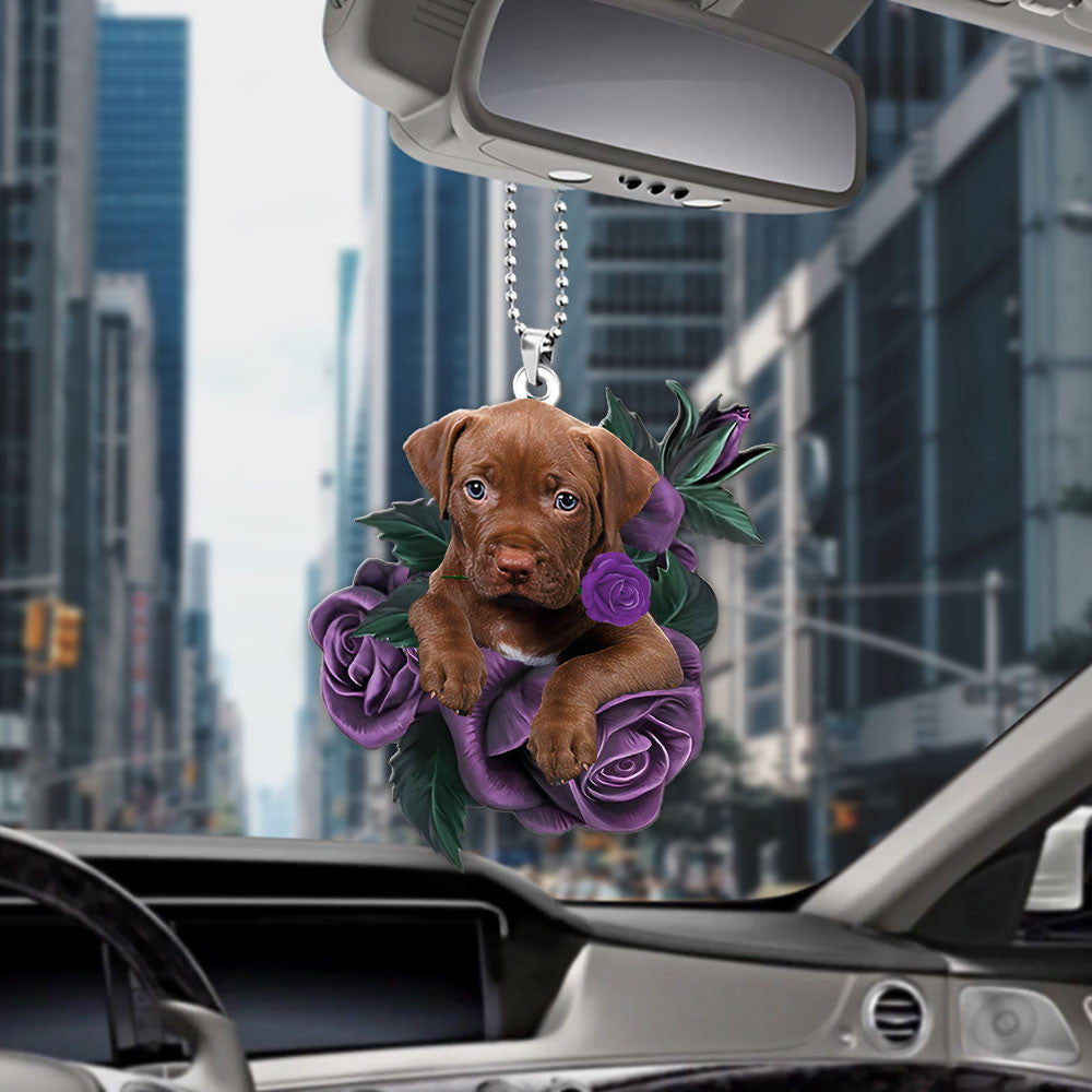 Pit Bull In Purple Rose Car Hanging Ornament