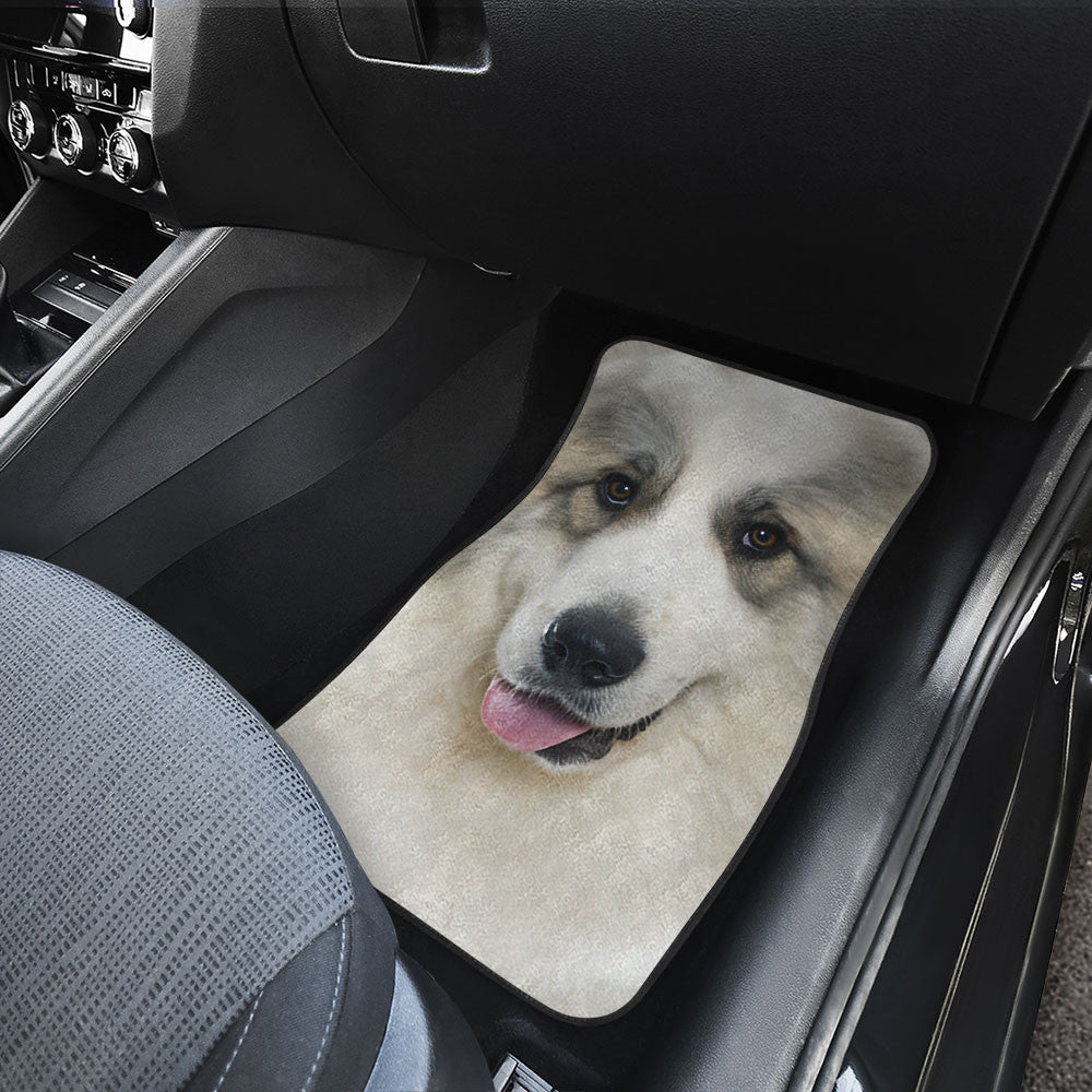 Pyrador Funny Face Car Floor Mats 119