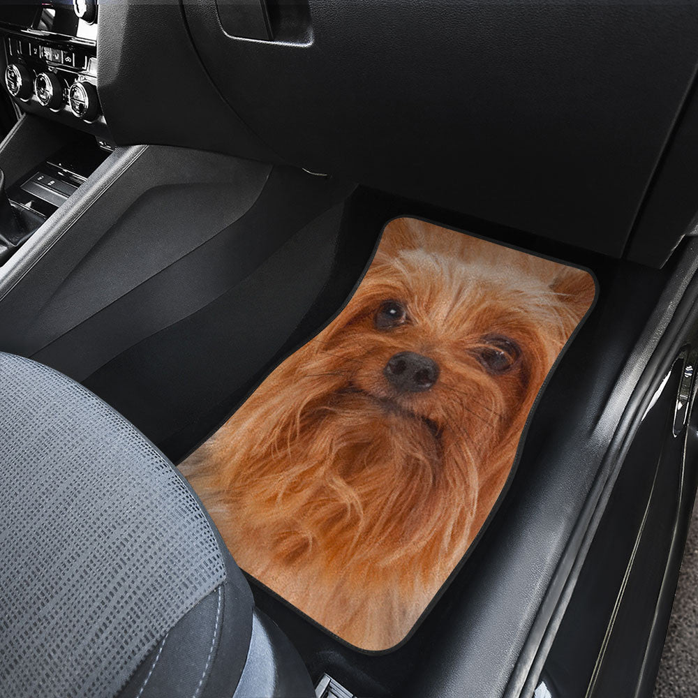 Silky Terrier Funny Face Car Floor Mats 119