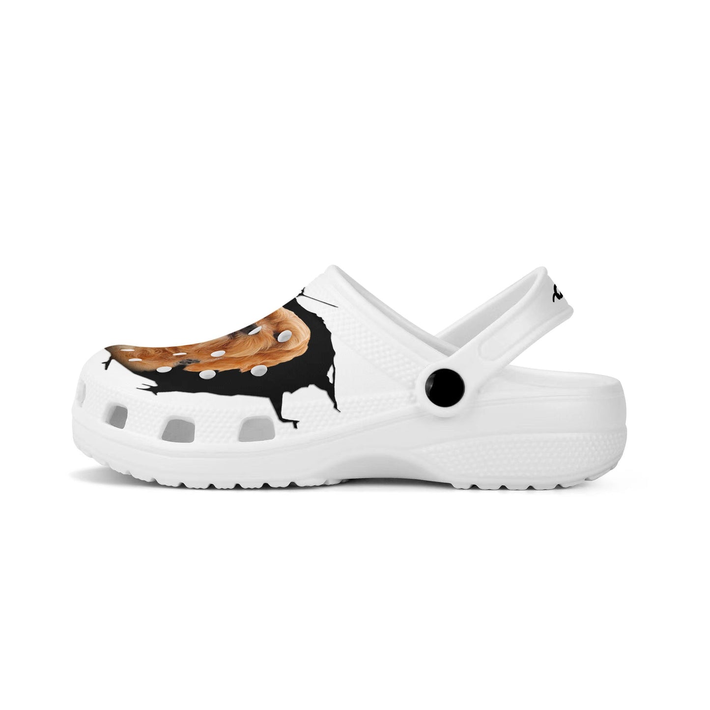 Cavapoo - 3D Graphic Custom Name Crocs Shoes