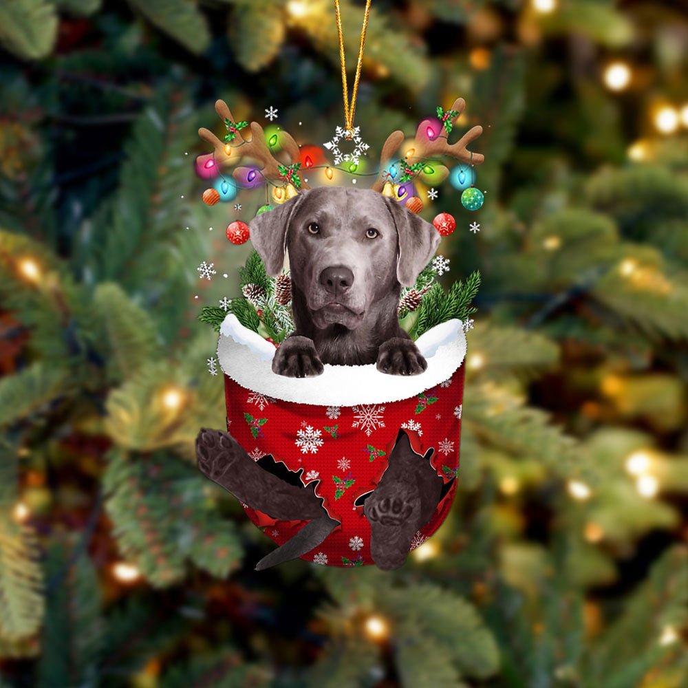 Silver Labrador In Snow Pocket Christmas Ornament