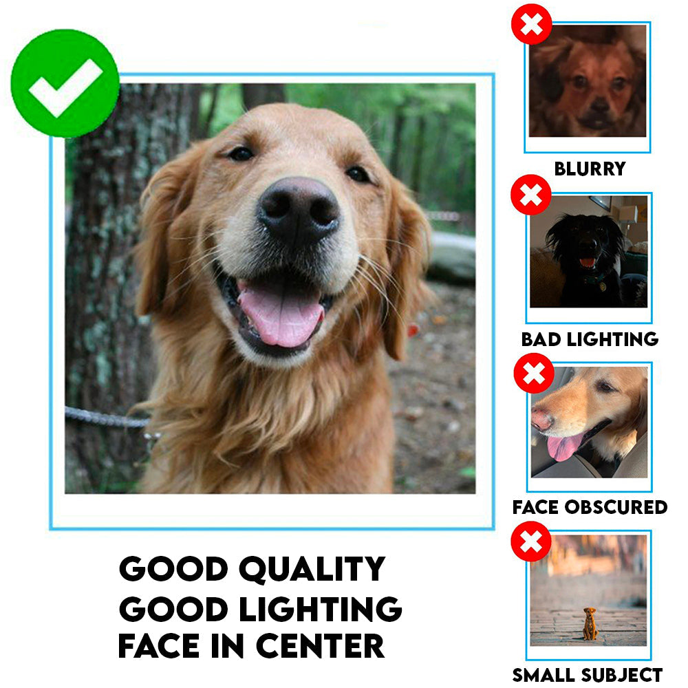 A - Pet Custom Photo In The Hands Of God Car Hanging Ornament