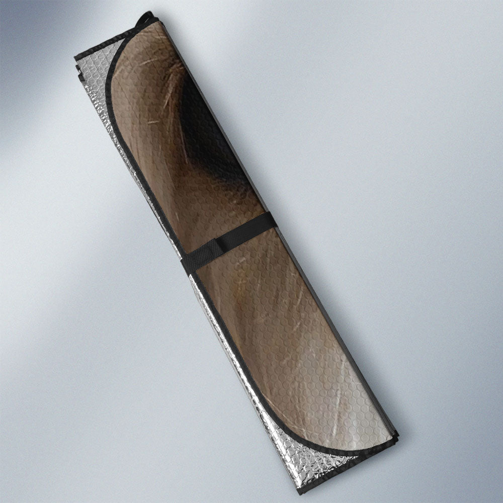 Coton de Tuleard Eyes Car Sun Shade 94