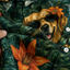 Custom Dog & Text Jungle Adventure Hawaiian Shirt — Personalized Tropical Rainforest Aloha