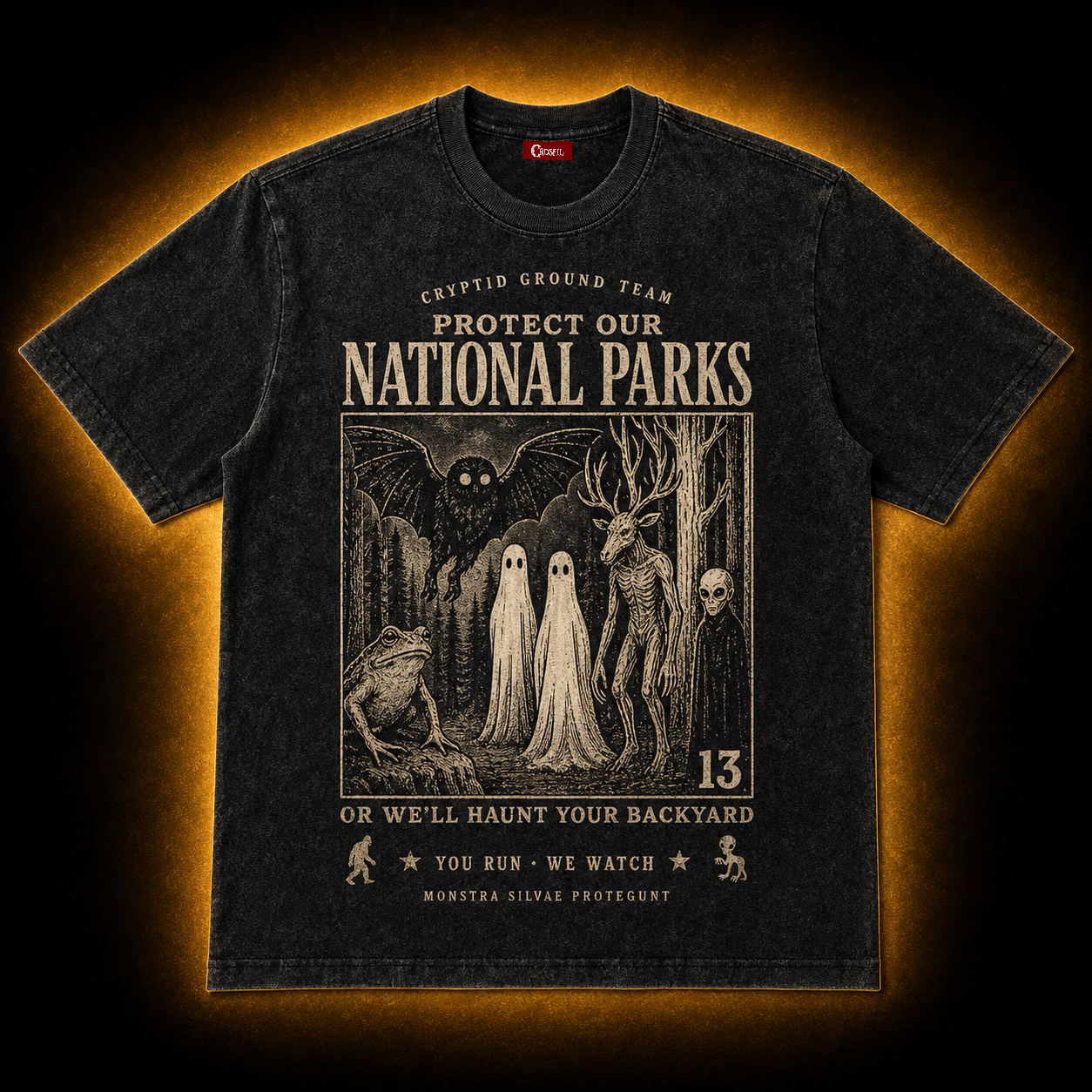 Protect Our National Parks — Cryptid Ground Team Washed T-Shirt