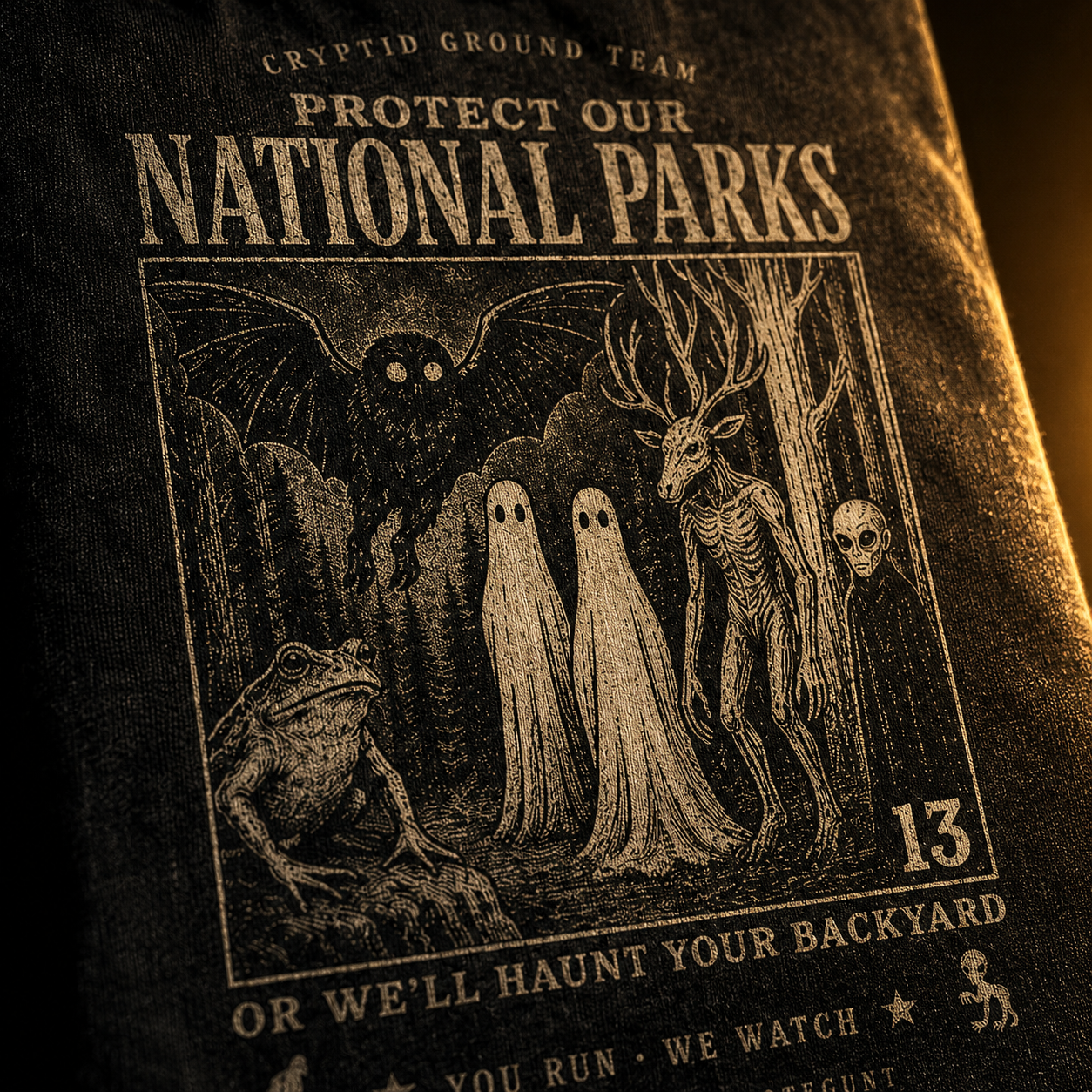 Protect Our National Parks — Cryptid Ground Team Washed T-Shirt