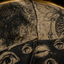 Crosfil The Archive Hoodie — Cryptid Ink Studies Dark Academia Print