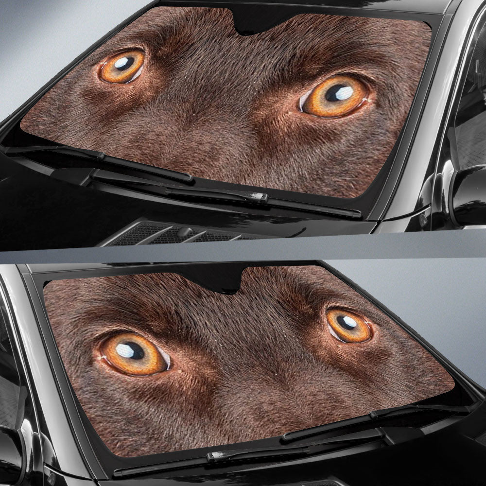 Australian Kelpie Eyes Car Sun shade 94