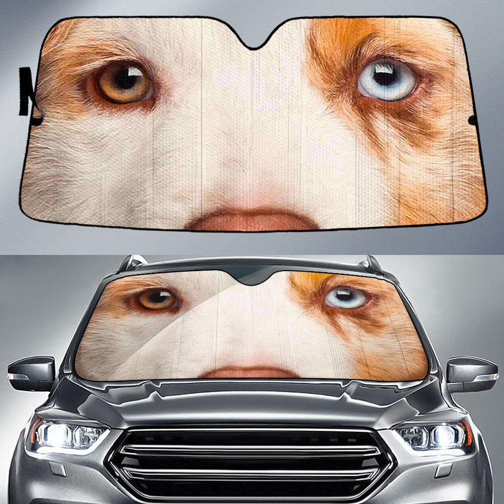 Australian Shepherd Eyes Car Sun shade 94