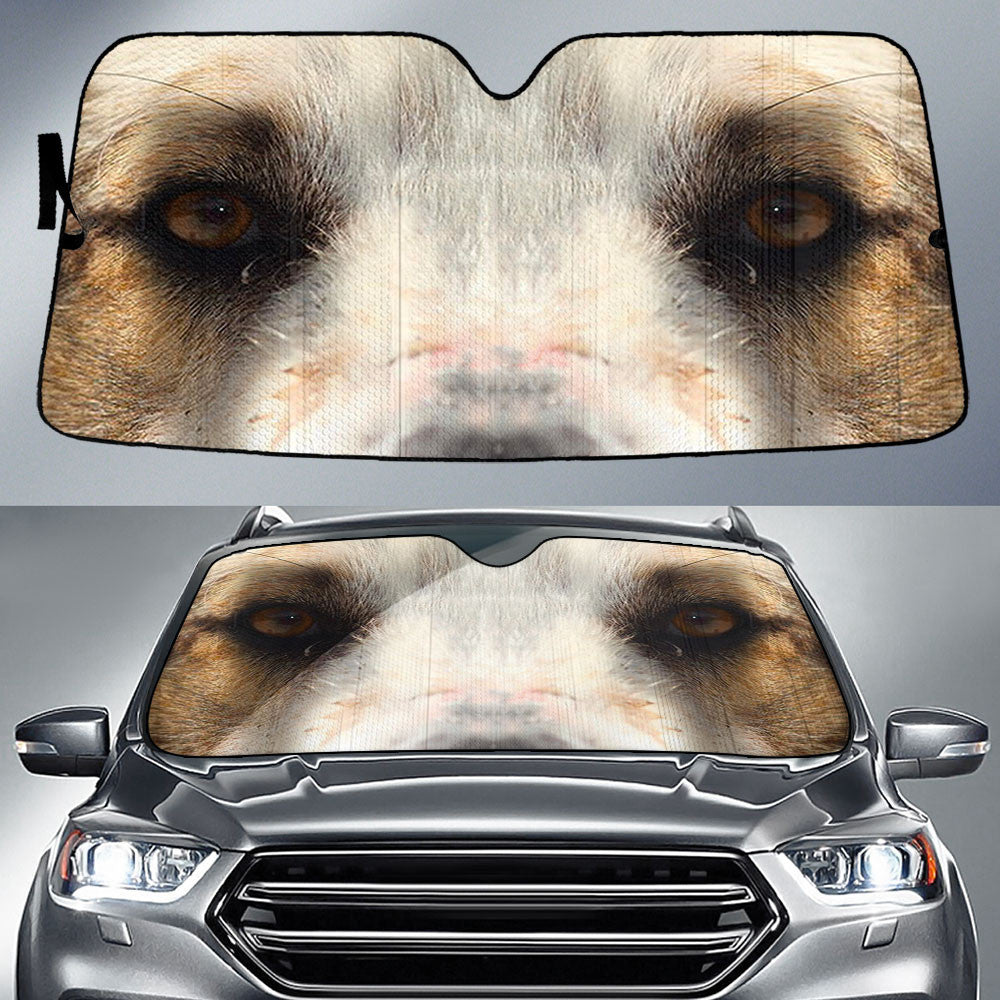 Bernese Mountain Eyes Car Sun Shade 94