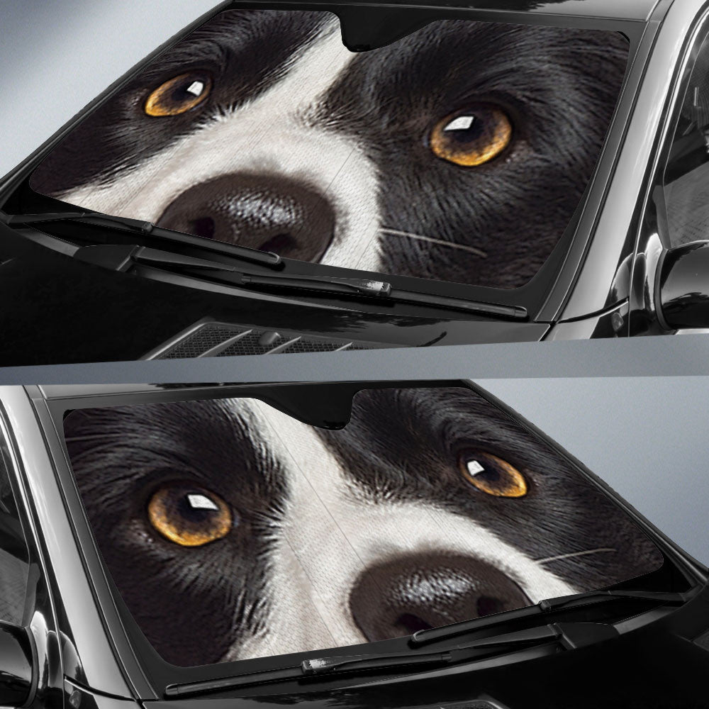 Border Collie Eyes Car Sun Shade 94