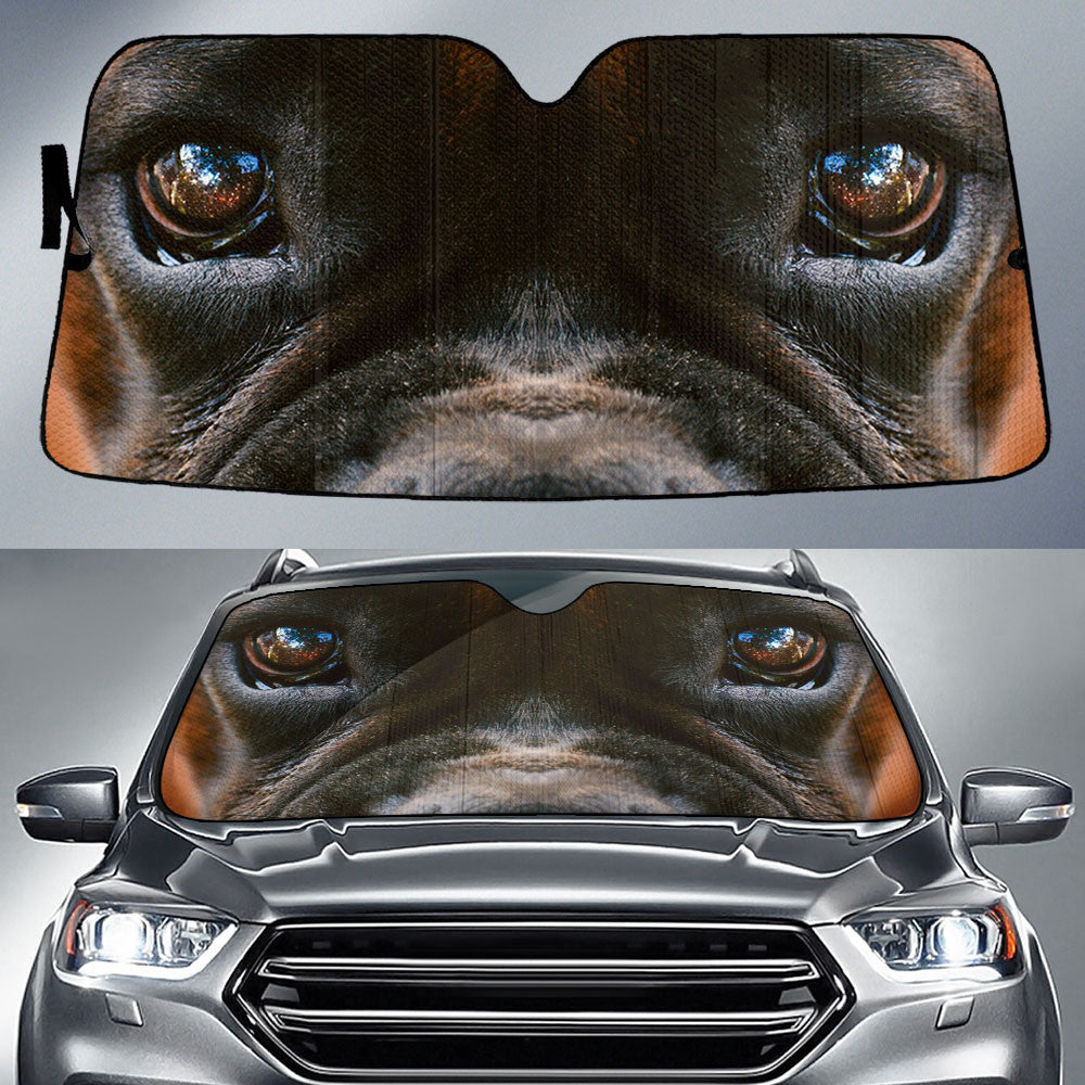 Boxer Eyes Car Sun Shade 94