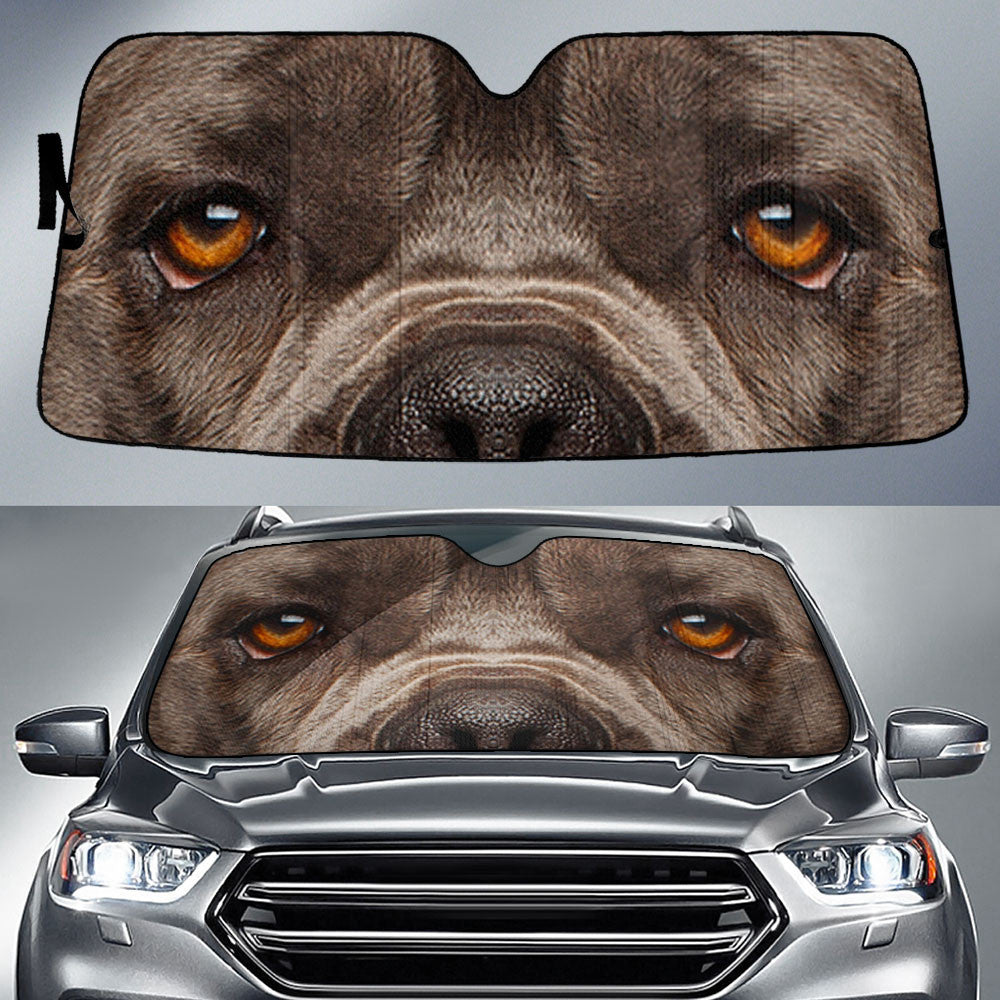 Cane Corso Eyes Car Sun Shade 94