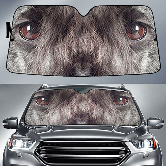 Cesky Terrier Eyes Car Sun Shade 94