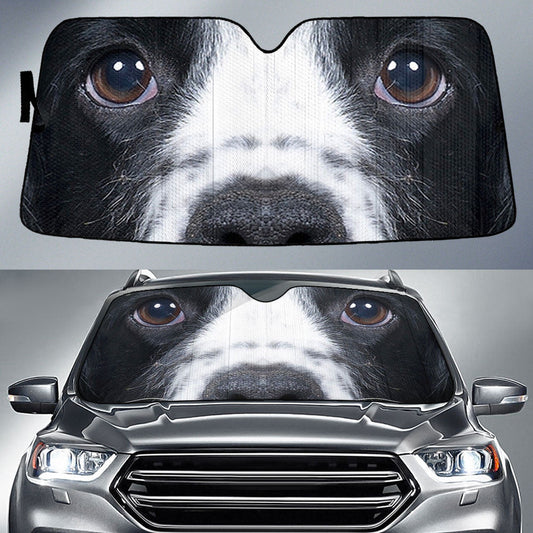 Cocker Spaniel Eyes Car Sun Shade 94