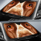 English Springer Spaniel Eyes Car Sun Shade 94