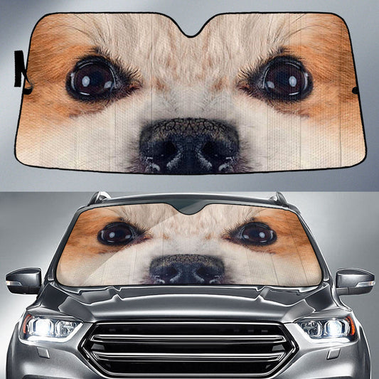 Icelandic Sheepdog Eyes Car Sun Shade 94