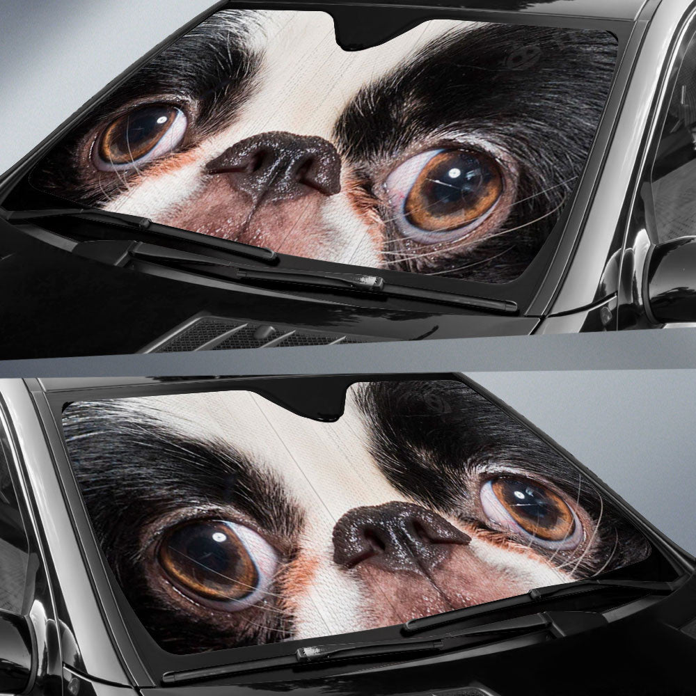 Japanese Chin Eyes Car Sun Shade 94