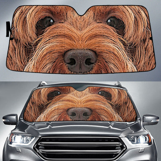 Labradoodle Eyes Car Sun Shade 94