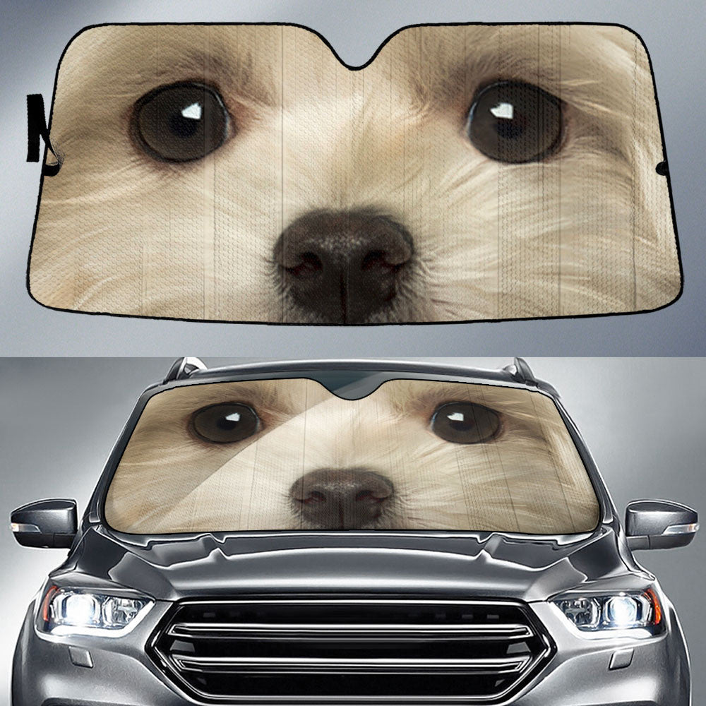 Maltese Eyes Car Sun Shade 94