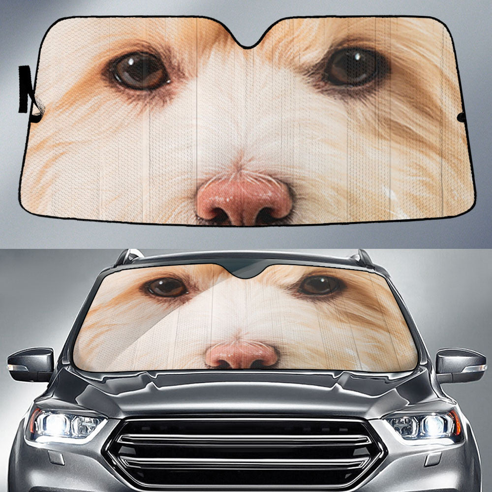 Maltipoo Eyes Car Sun Shade 94