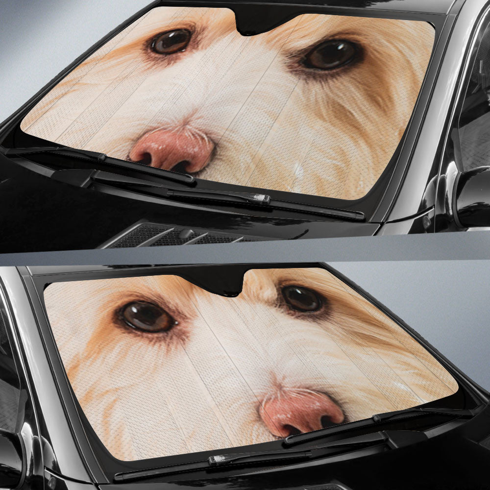 Maltipoo Eyes Car Sun Shade 94