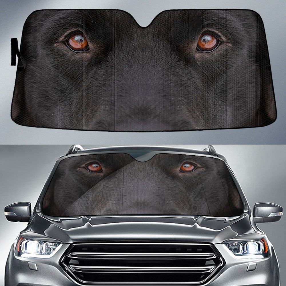 Newfoundland Eyes Car Sun Shade 94