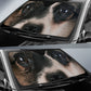 Papillon Eyes Car Sun Shade 94