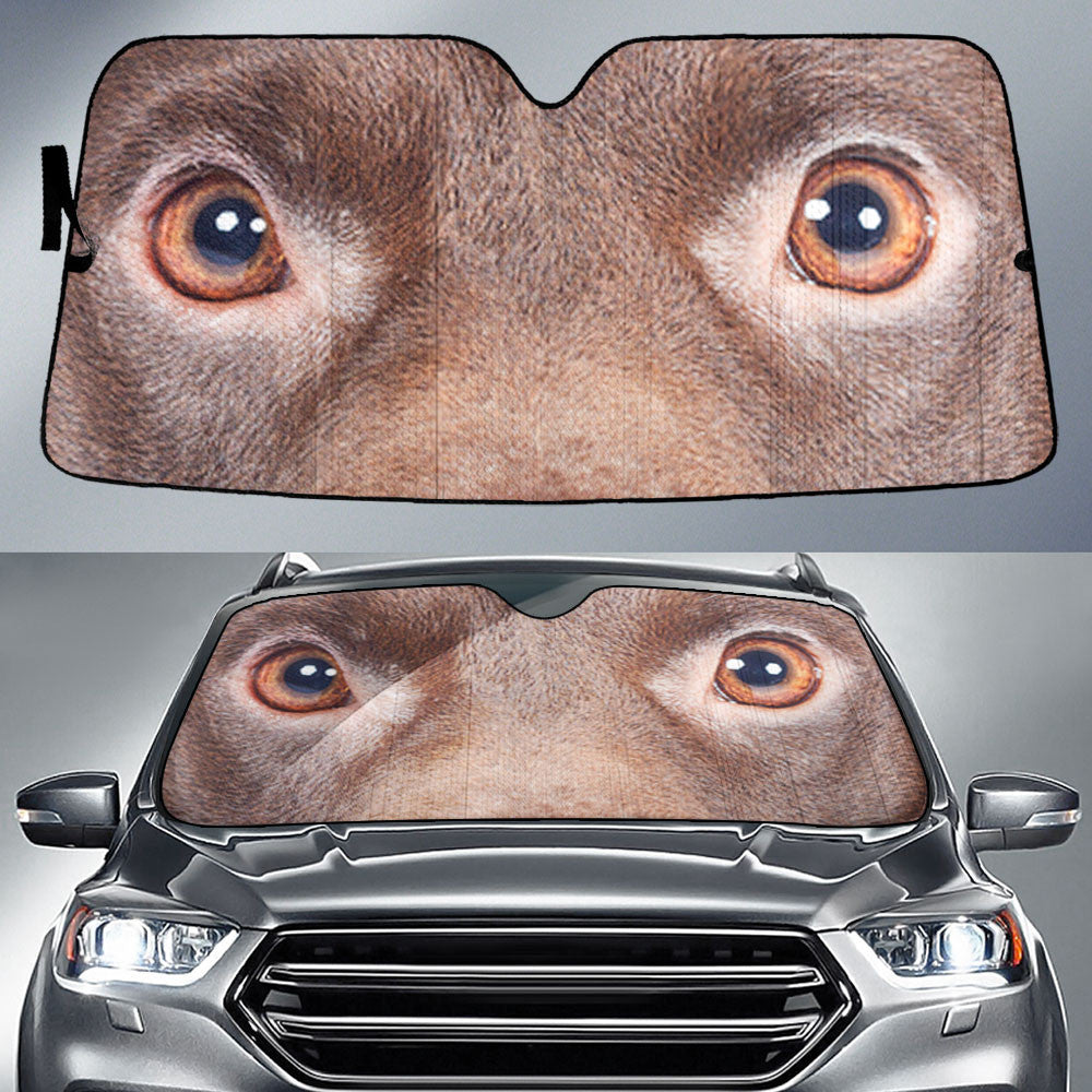 Patterdale Terrier Eyes Car Sun Shade 94
