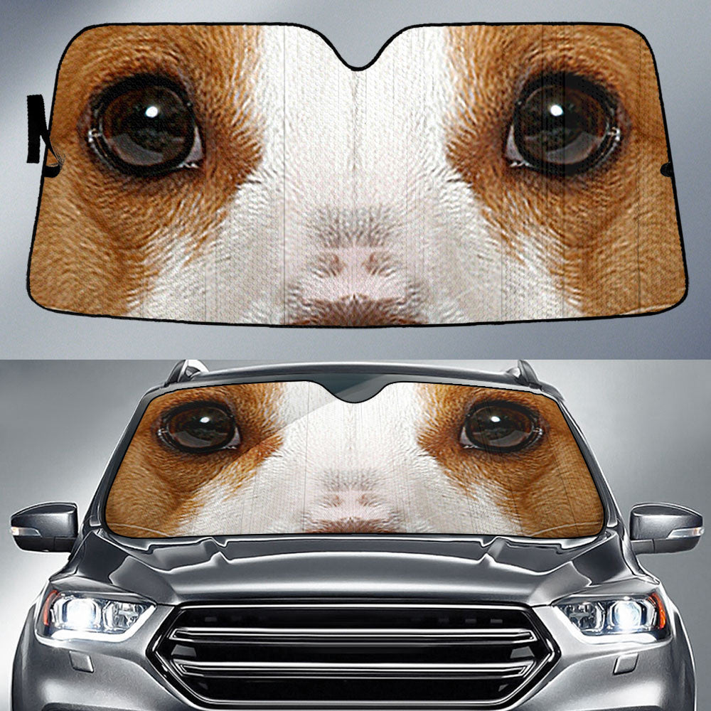 Rat Terrier Eyes Car Sun Shade 94