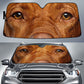 Vizsla Eyes Car Sun Shade 94