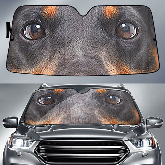 Jagdterrier Eyes Car Sun Shade 94