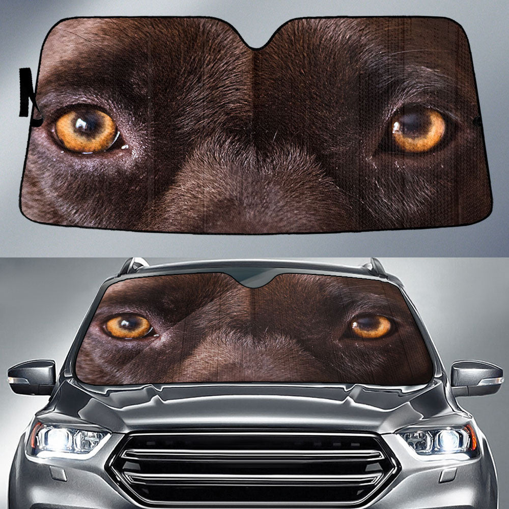 Pitbull Eyes Car Sun Shade 94