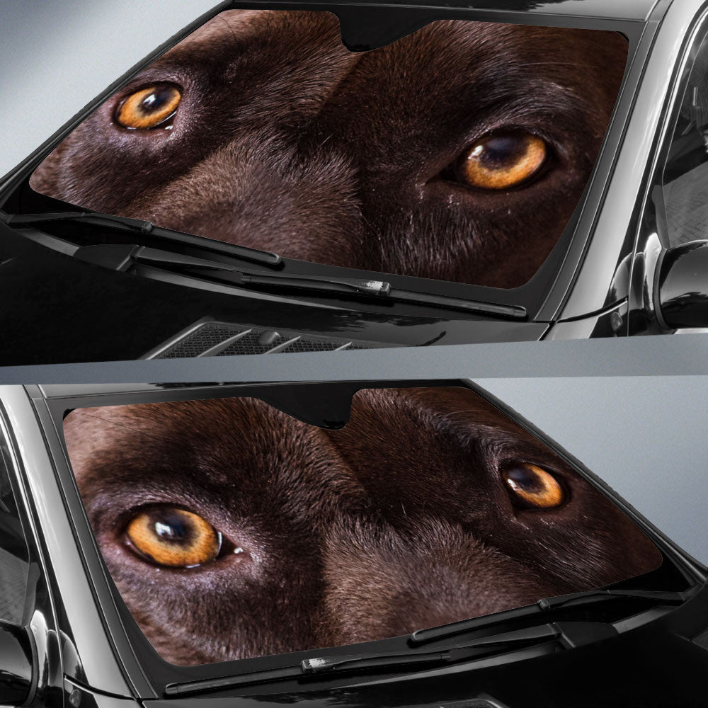 Pitbull Eyes Car Sun Shade 94