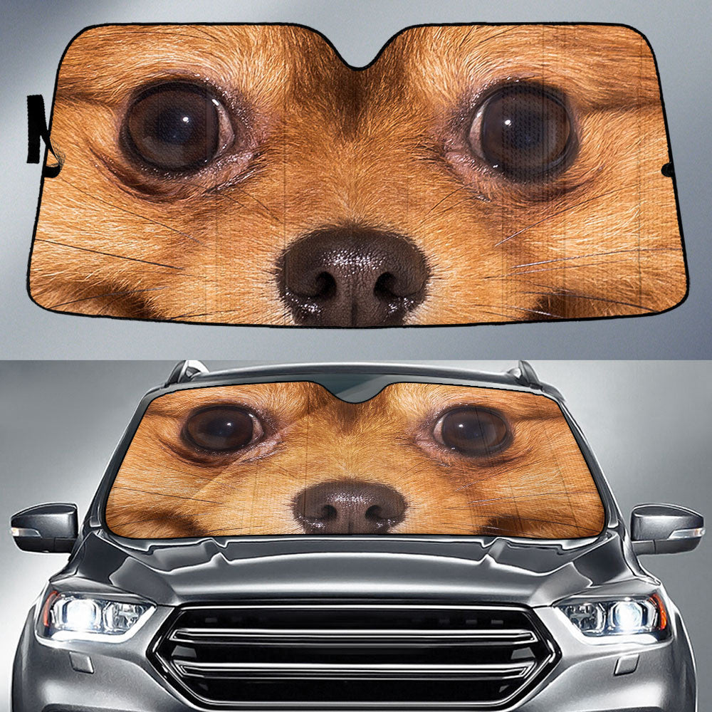 Pomeranian Eyes Car Sun Shade 94