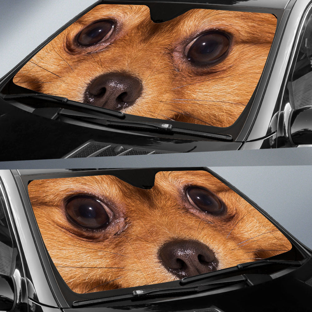 Pomeranian Eyes Car Sun Shade 94