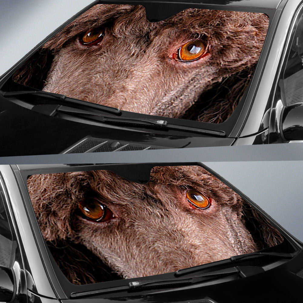 Brown Standard Poodles Eyes Car Sun Shade 94