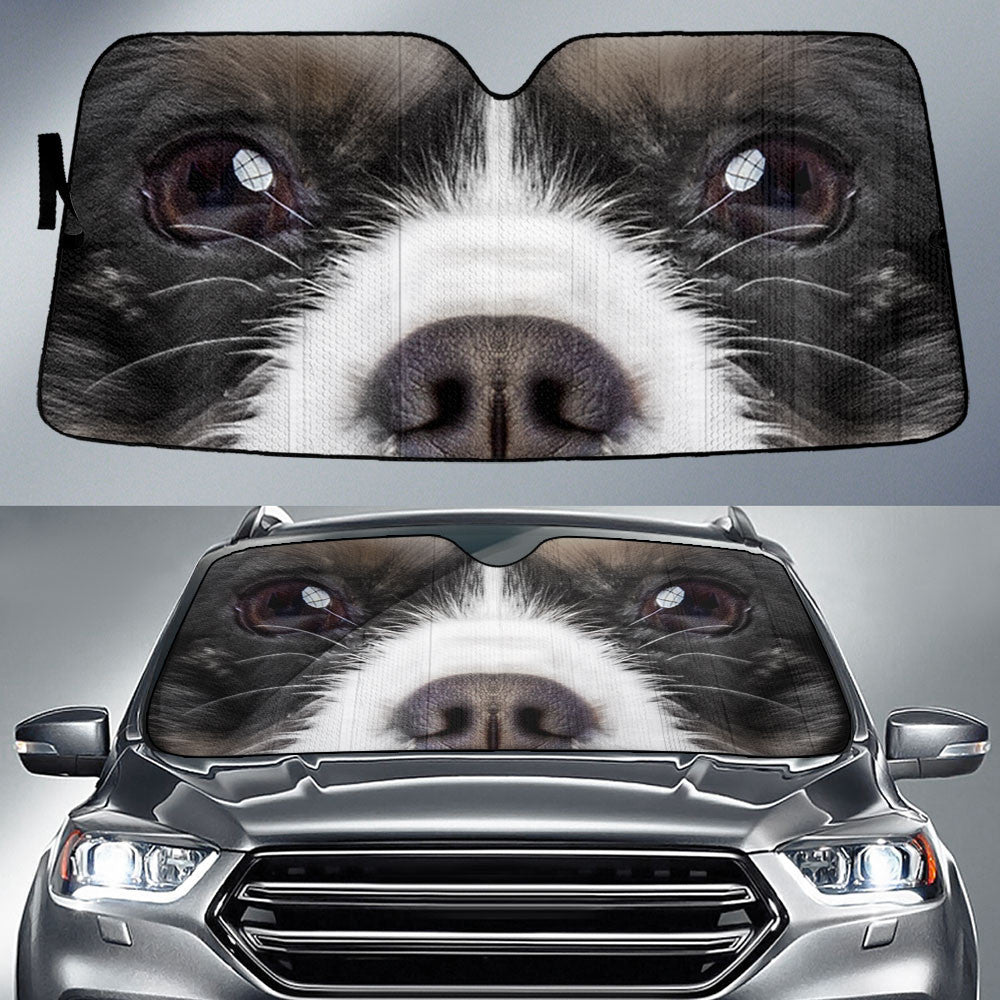 Black And White Cavachon Eyes Car Sun Shade 94