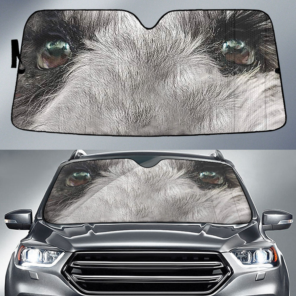 Schnauzer Eyes Car Sun Shade 94