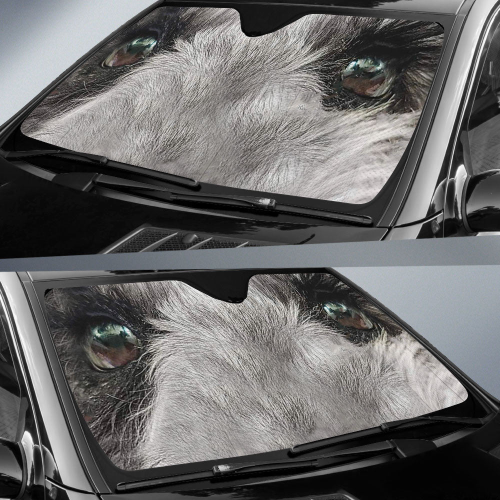 Schnauzer Eyes Car Sun Shade 94