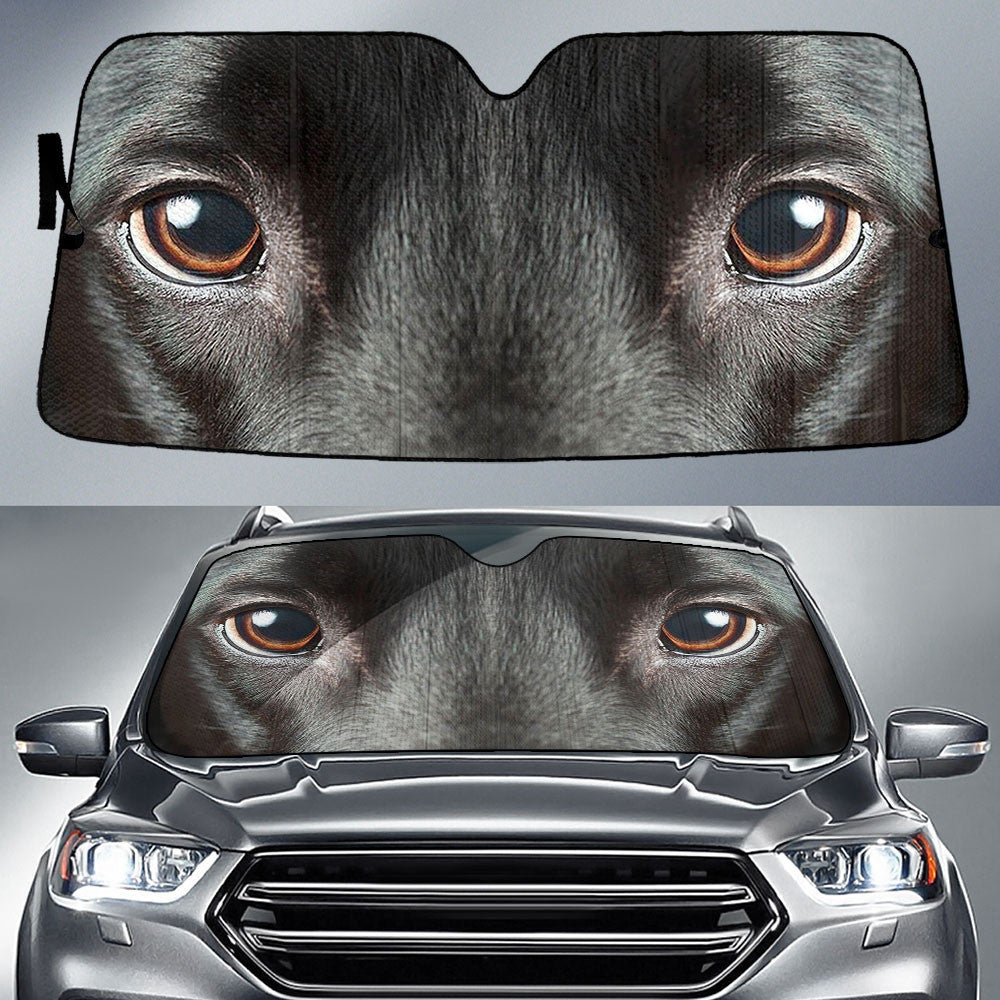 Black Labrador Eyes Car Sun Shade 94