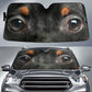 Miniature Pinscher Eyes Car Sun Shade 94