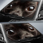 Black Dear Head Chihuahua Eyes Car Sun Shade 94