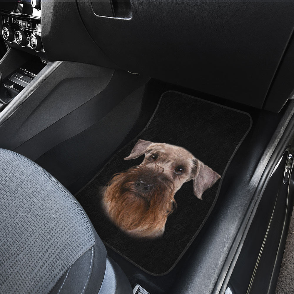 Cesky Terrier Dog Cute Face Car Floor Mats 118