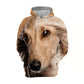 Afghan Hound - Unisex 3D Graphic Hoodie