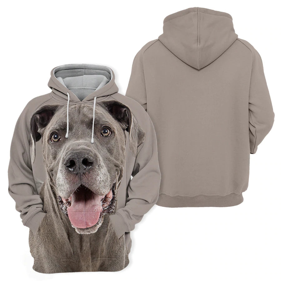 Great Dane 3 - Unisex 3D Graphic Hoodie